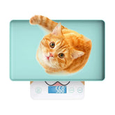 MindPet-Med cute scale with a 12x9 tray for tiny pets, enabling precise daily weigh-ins.