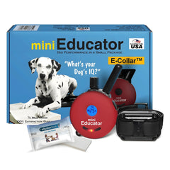 Mini Educator ET-300 red remote for dog training, quick response and reliable control.
