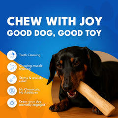 MINOWILD coffee wood chew stick for medium dogs shows balanced hardness.