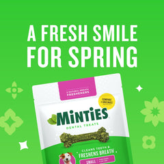 Minties dental chews for small breeds help reduce plaque and tartar buildup.