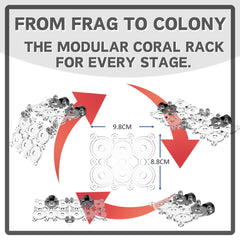Miofis Coral Frag Rack showcases a clean view of corals within the aquascape.