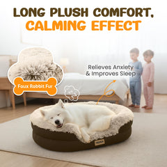 Miorun bouclé fabric modern dog bed blends with home decor
