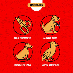 Dog nail bleeding being treated with Miracle Care Kwik Stop powder for quick control.