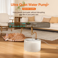 MISFANS dual filtration system with sponge and carbon filters for cleaner water.