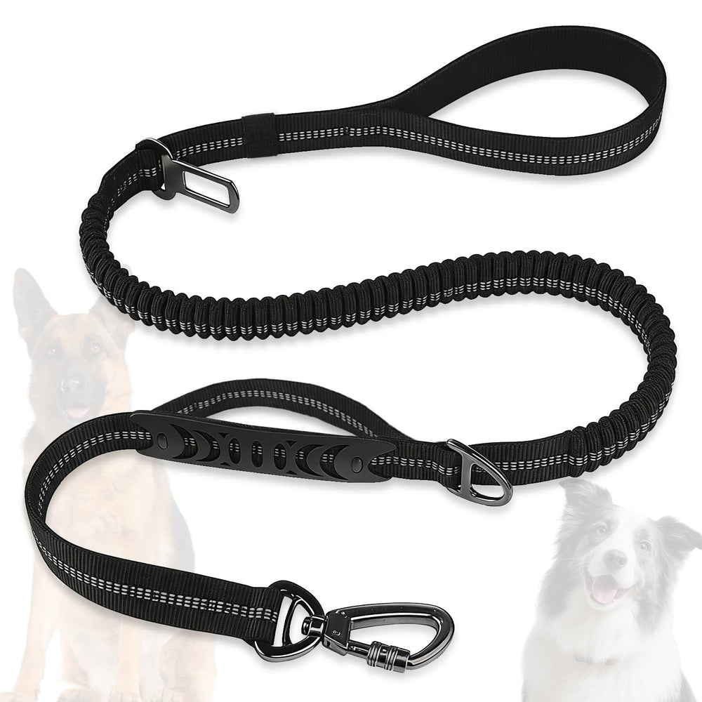 Misthis heavy-duty aviation buckle leash for secure walks