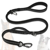 Misthis heavy-duty aviation buckle leash for secure walks