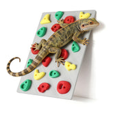 MITCHENIFY climbing wall installed in a reptile tank for enrichment and exploration.