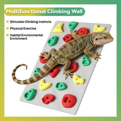 MITCHENIFY durable PLA climbing wall designed for long-term reptile use.