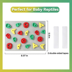 MITCHENIFY reptile habitat accessory supports climbing for bearded dragons.