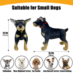 Mitubati dog goggles come with portable case for easy storage