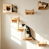 MIUZMORE cat wall shelves house provides cozy elevated retreat for indoor cats