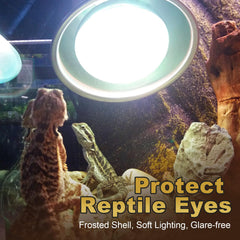 MixJOY dimmable heat lamp in a reptile enclosure setup for adjustable warmth.