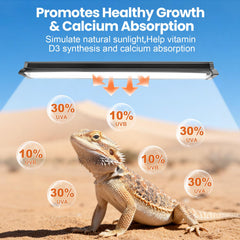 MIXJOY Desert Spectrum 10.0 UVB output enhances basking and activity near the light