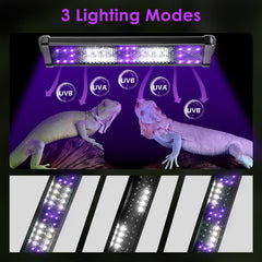 MIXJOY UVB light mounted over enclosure for even exposure