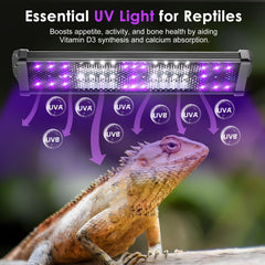 MIXJOY UVB light timer and dimming wheel enabling schedule control