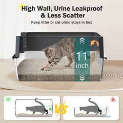Inside view of MIXJOY XL litter box showing spacious interior for large cats
