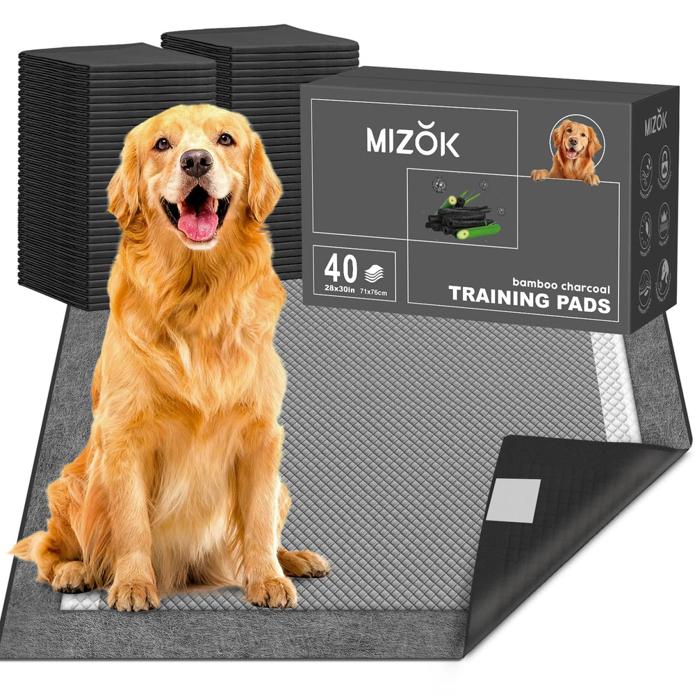 MIZOK Charcoal pee pad front view showing large 28x30 inch coverage and odor control