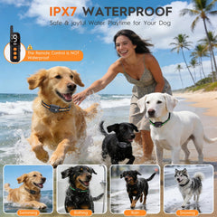 MKZ dog training collar LED night-light helps locate your dog after dark.