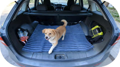 Mluyeri crate mat shows thick foam cushioning for comfort