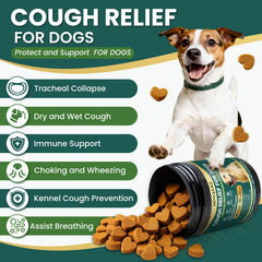 MNQAXZ Dog Cough Relief Chews bottle close-up showing chicken flavor