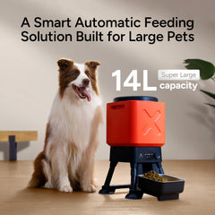 MOLLY&CODY 14L feeder elevated stainless bowl promotes ergonomic feeding and easier digestion.