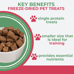 Momentum Carnivore Grain-Free Gluten-Free Treats aid gentle digestion