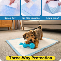 MoMoCo Flash-Dry technology speeds drying and reduces dampness.