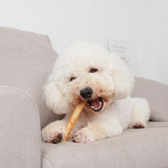 MON2SUN chicken-flavor rawhide rolls encourage chew time and focus