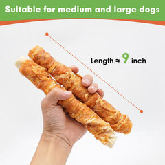 MON2SUN six-piece 23 oz pack for medium and large dogs