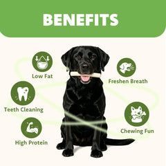 MON2SUN small-dog chew session showing bite-sized satisfaction