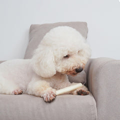 MON2SUN teeth health chew helps reduce plaque through regular chews