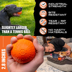 Monster K9 indestructible ball dishwasher-safe cleaning after muddy sessions