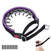 Monstoyo Martingale dog collar close-up buckle highlighting sturdy construction for daily walks.