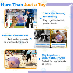 MoofeePaws Collie Ball for herding dogs aids recall and focus training.