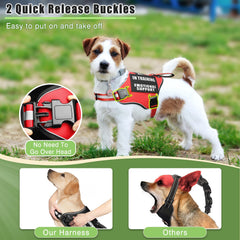 MOOGROU patches on harness display clear training cues and status.