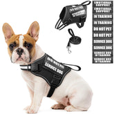 MOOGROU service dog harness front view with secure fit and easy on/off.