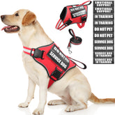 MOOGROU service dog harness front view with secure fit and reflective visibility