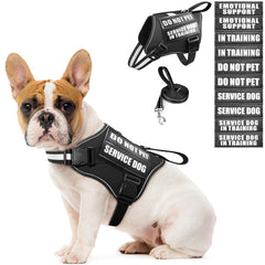 MOOGROU service dog harness front view with secure fit and easy on/off.