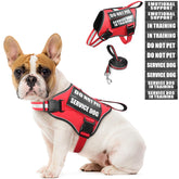 MOOGROU service dog harness red S offers secure daily wear for training