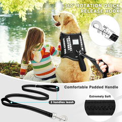 MOOGROU service dog leash 5ft demonstrates secure control during daily walking.