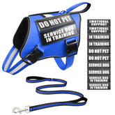 MOOGROU service dog vest blue with secure fit for daily training.