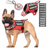 MOOGROU service dog vest harness front view for quick identification