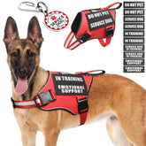 MOOGROU service dog vest harness for easy on off and control during training