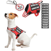 MOOGROU service dog vest harness close-up with sturdy nylon and quick-release buckles for easy on/off.