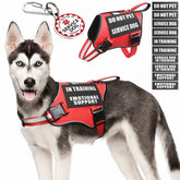MOOGROU service dog vest harness shown in red for easy daily walks.