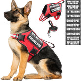 MOOGROU service dog vest harness on a small dog for everyday training