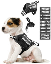 MOOGROU pink XS service dog vest with soft padding for daily comfort