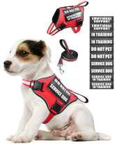 MOOGROU service dog vest front view in red XS for easy daily walks