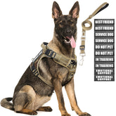 MOOGROU tactical dog harness back view showing secure control during training
