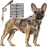 MOOGROU tactical dog harness mid-size for secure training and daily walks.